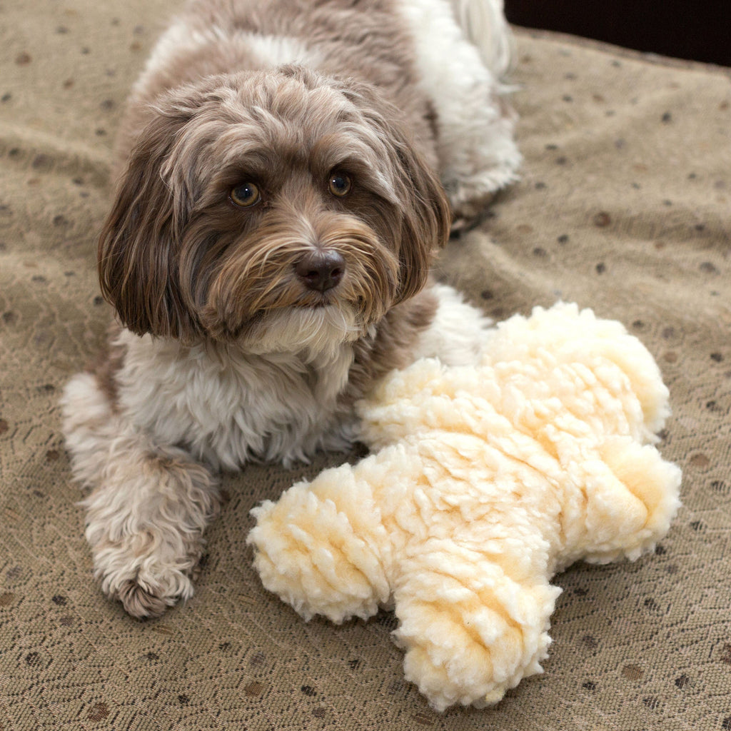 Pet Supply Product | The Finest Market
