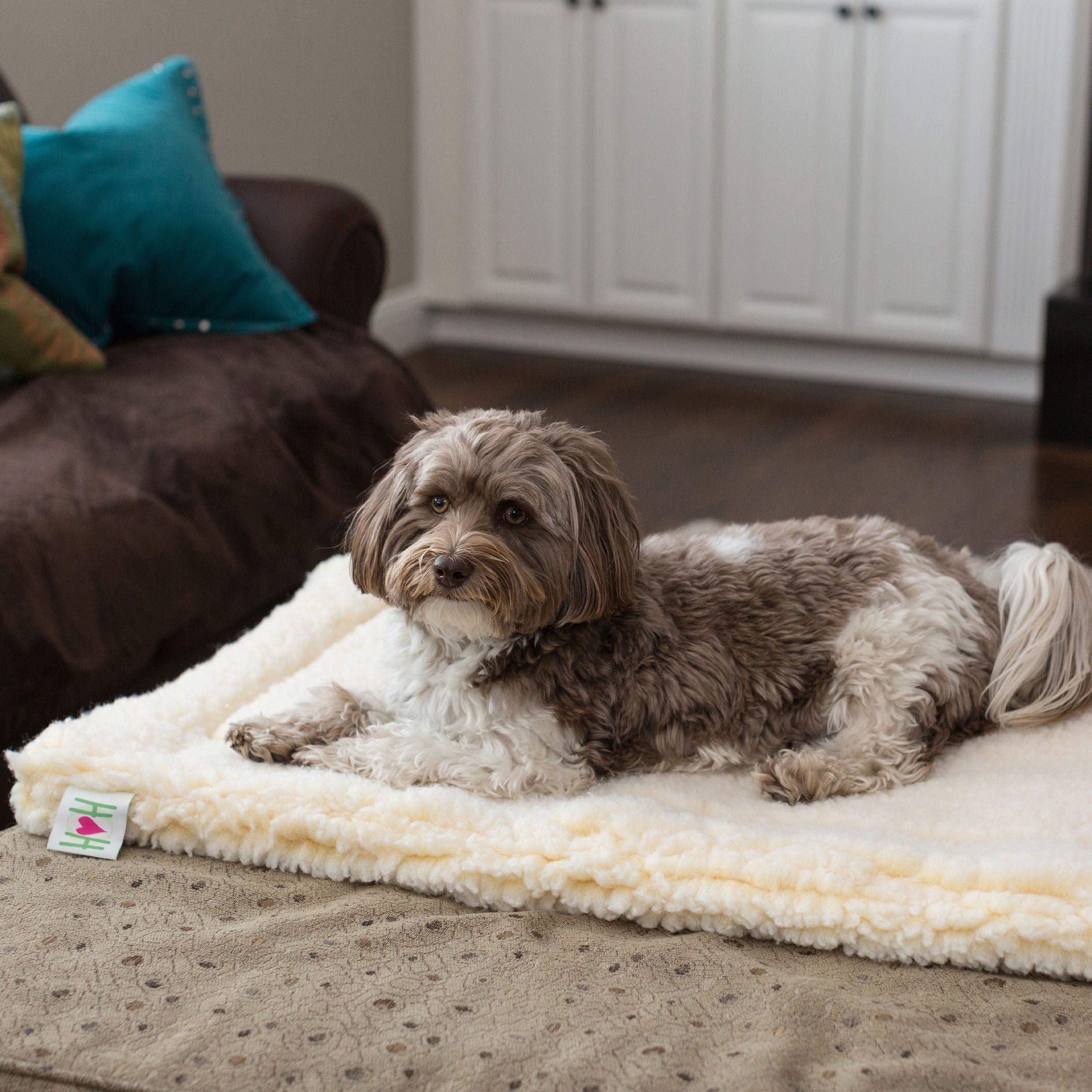 Pet Supply Product | The Finest Market