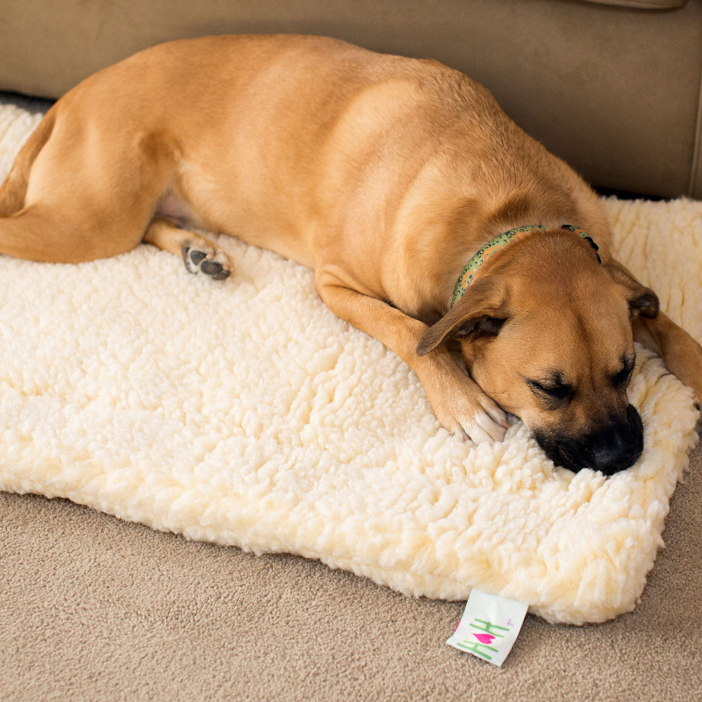 Pet Supply Product | The Finest Market