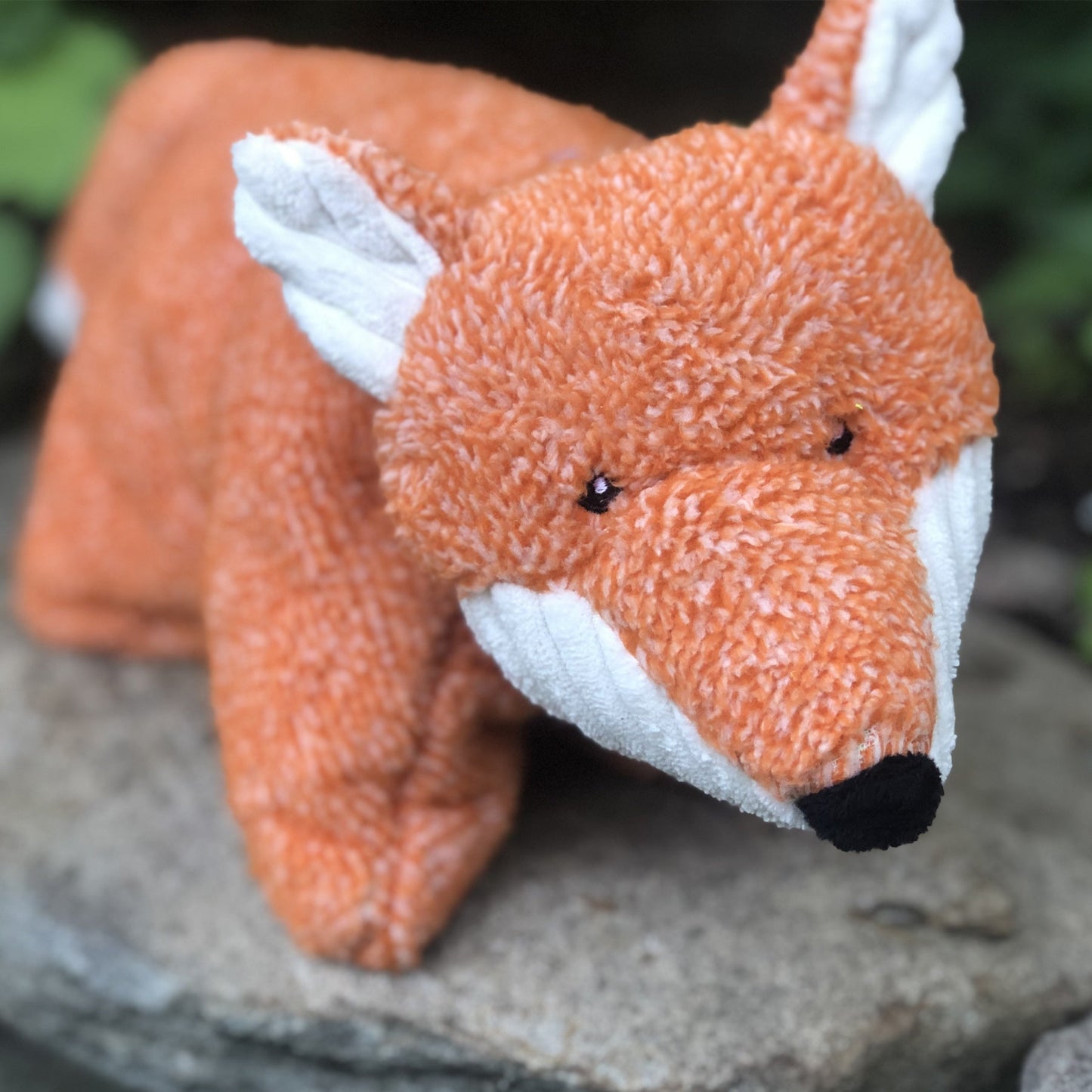Pet Supply Product | The Finest Market