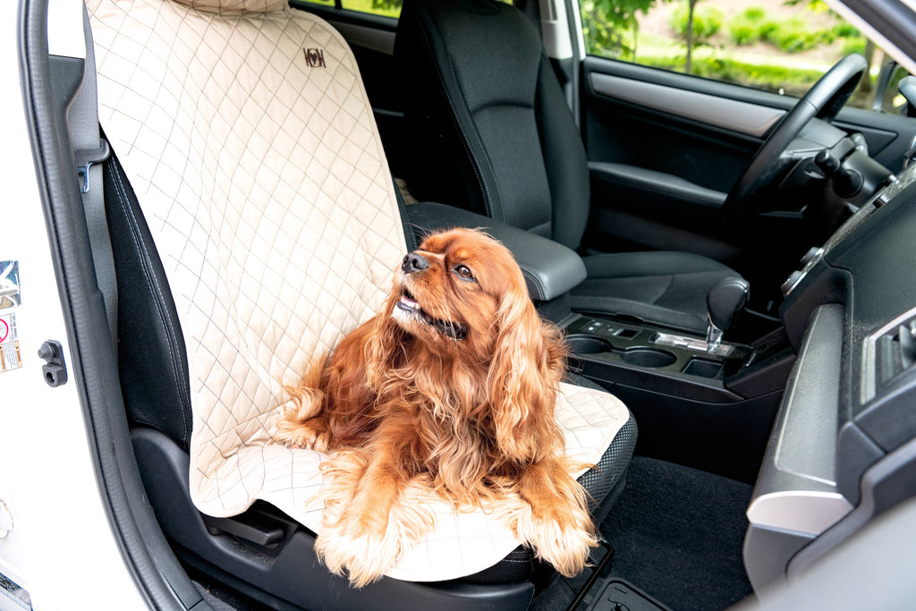 Pet Supply Product | The Finest Market