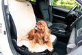 Pet Supply Product | The Finest Market
