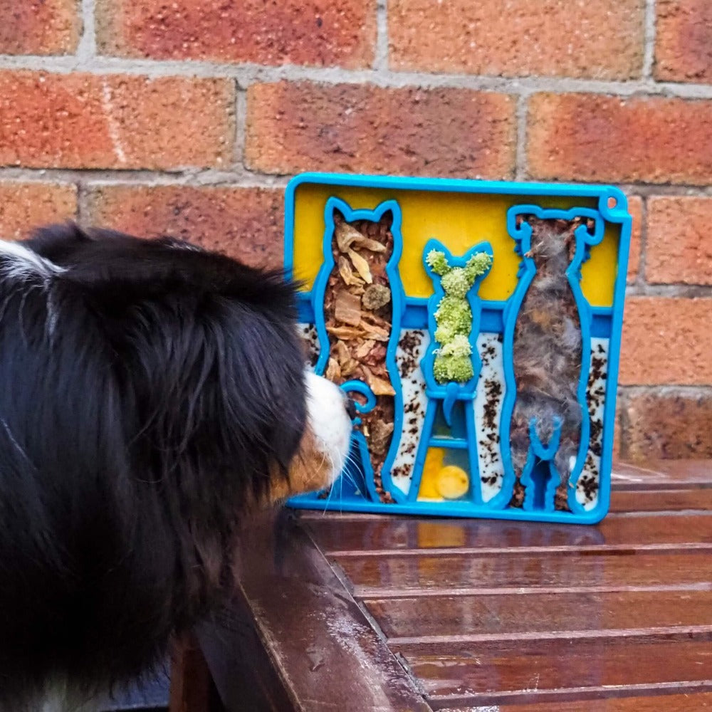 Pet Supply Product | The Finest Market