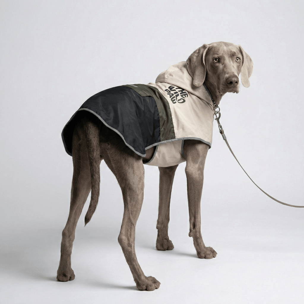Evercrest Coat - Majestic Pet Kingdom