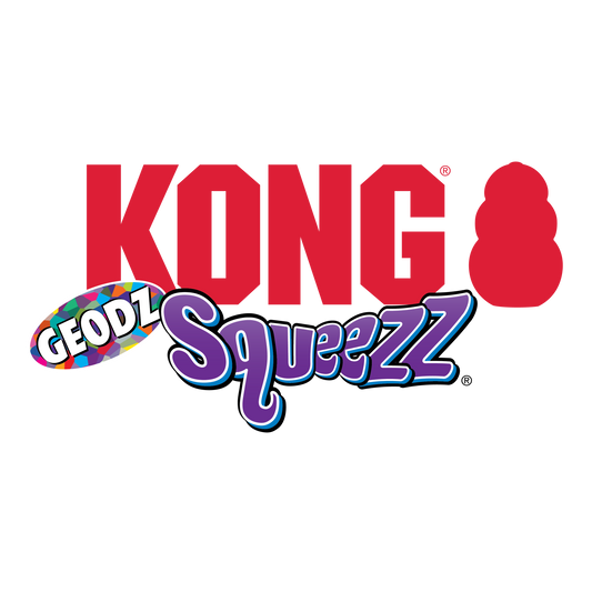 dog-toy-kong-squeezz-geodz-squeaky-textured-balls-2-pack-lg-luxury-view-2 | Majestic Pet Kingdom