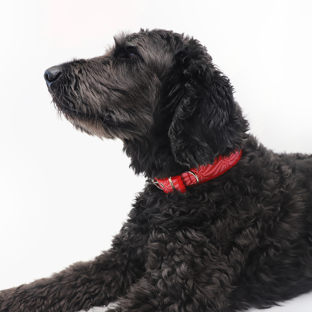 Ginger Faux Fur Ergonomic Walking Harness Premium Design | Majestic Pet Kingdom™