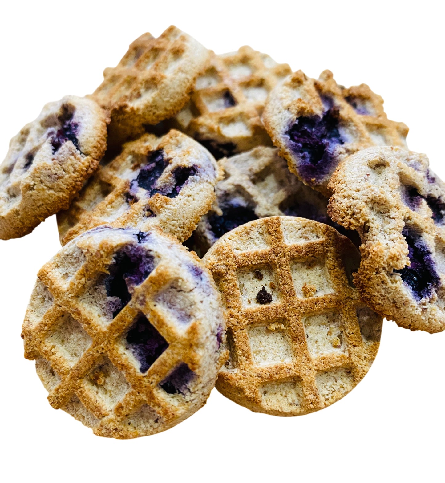 Tootsies & Treats Gluten Free Blueberry Treats (4oz)
