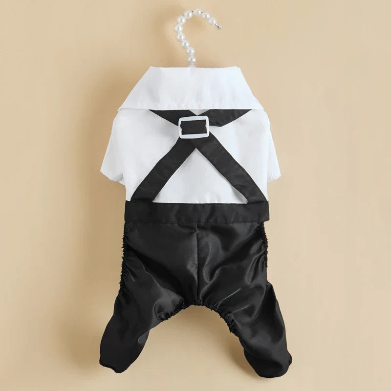 Clothes for Small Dogs Puppy Teddy Poodle Chihuahua Coat Handsome Pets Dog Suit Wedding Dress Pet Clothes ropa para perro - as the picture show | Purrfect Pet Kingdom
