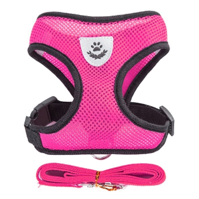 Adjustable Mesh Vest Dog Harness and Walking Leash Set