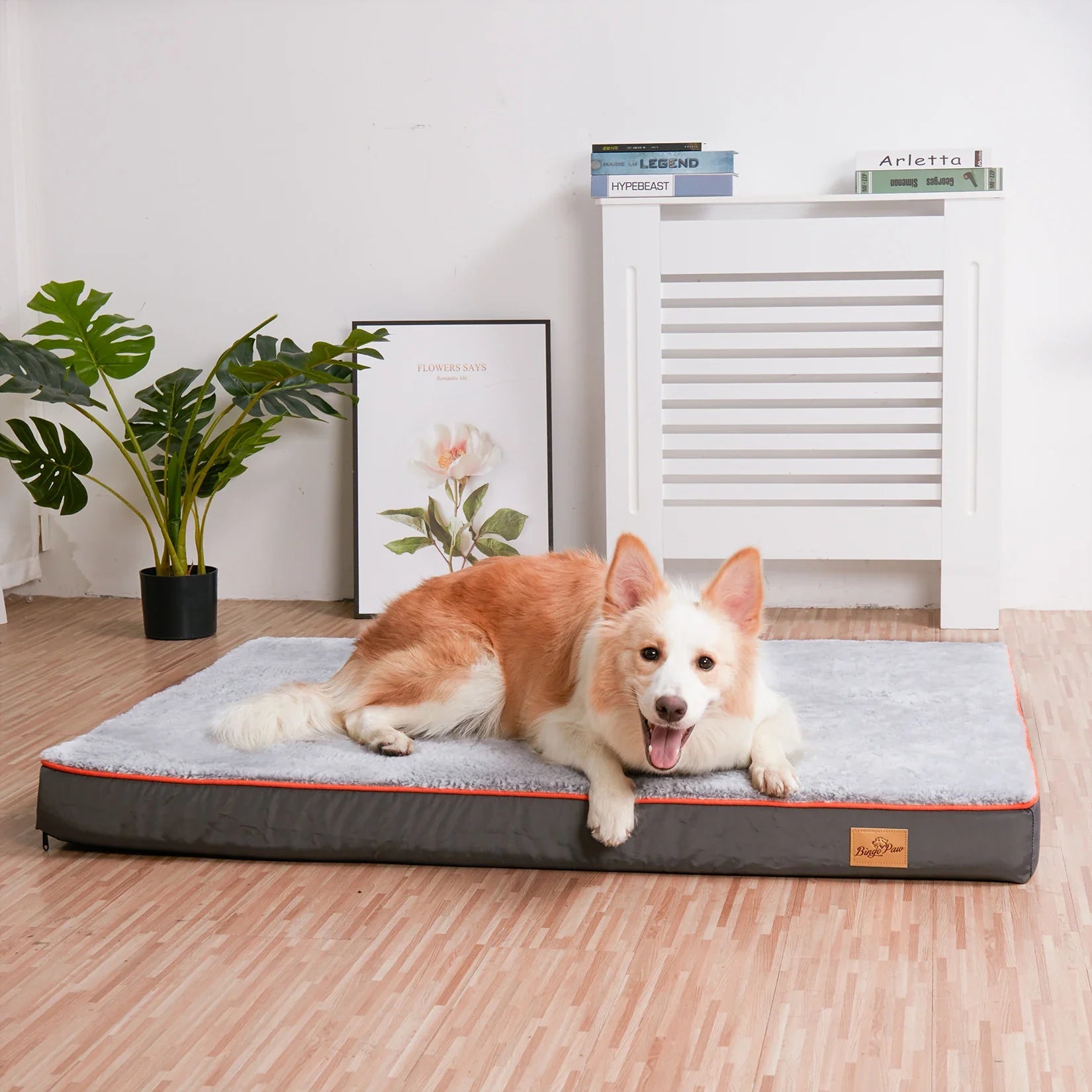 Dog Bed Orthopedic Memory Foam Waterproof Removable Cover
