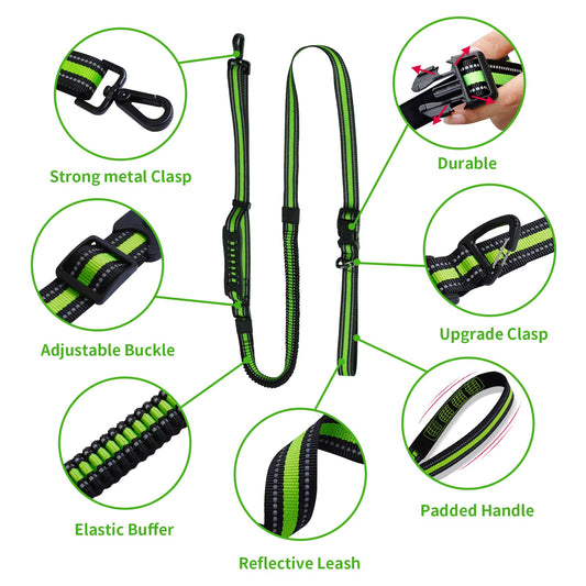 Hands-Free Running/Hiking Bungee Leash | Purrfect Pet Kingdom