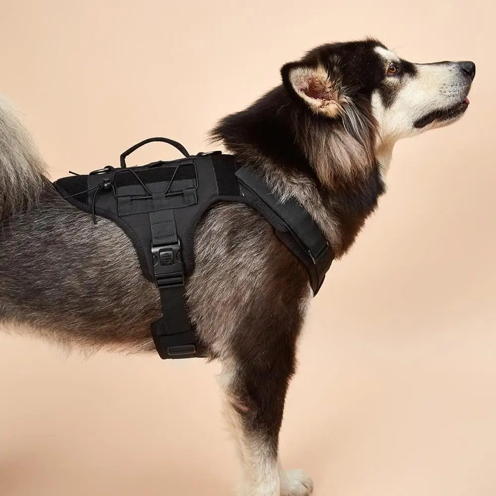 Tactical Dog Vest Harness No Pull Comfortable Adjustable Pet Harness For Medium Large Dog Military Training With Handle Labrador - Black | Purrfect Pet Kingdom