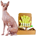 Complete Regular Skin Care Grooming Kit for Hairless Dogs