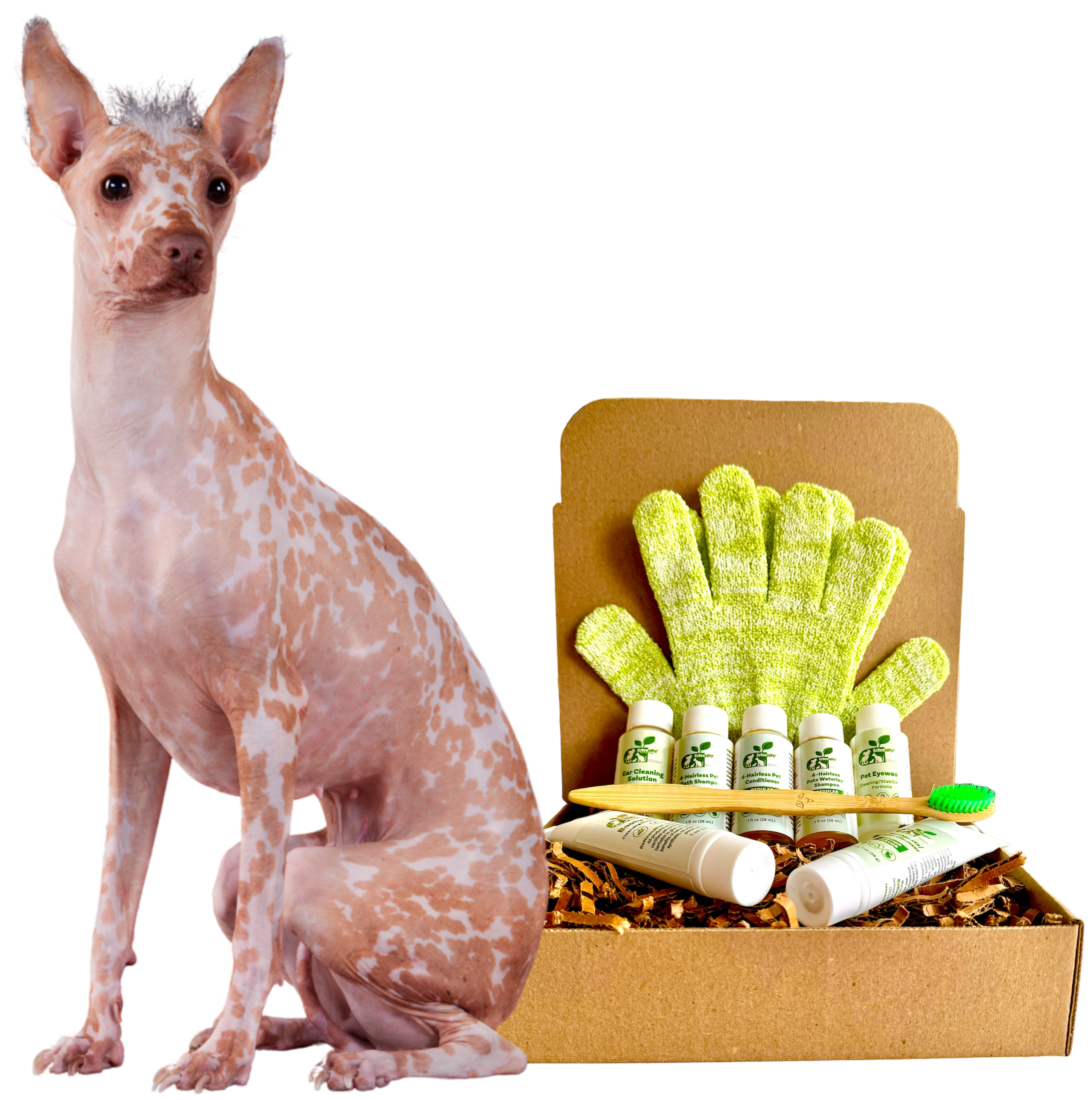 Complete Regular Skin Care Grooming Kit for Hairless Dogs