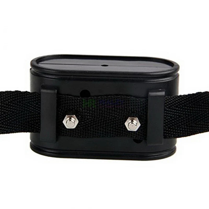 Dog Fence Receiver Collar W227 W227B In-Ground Electric System