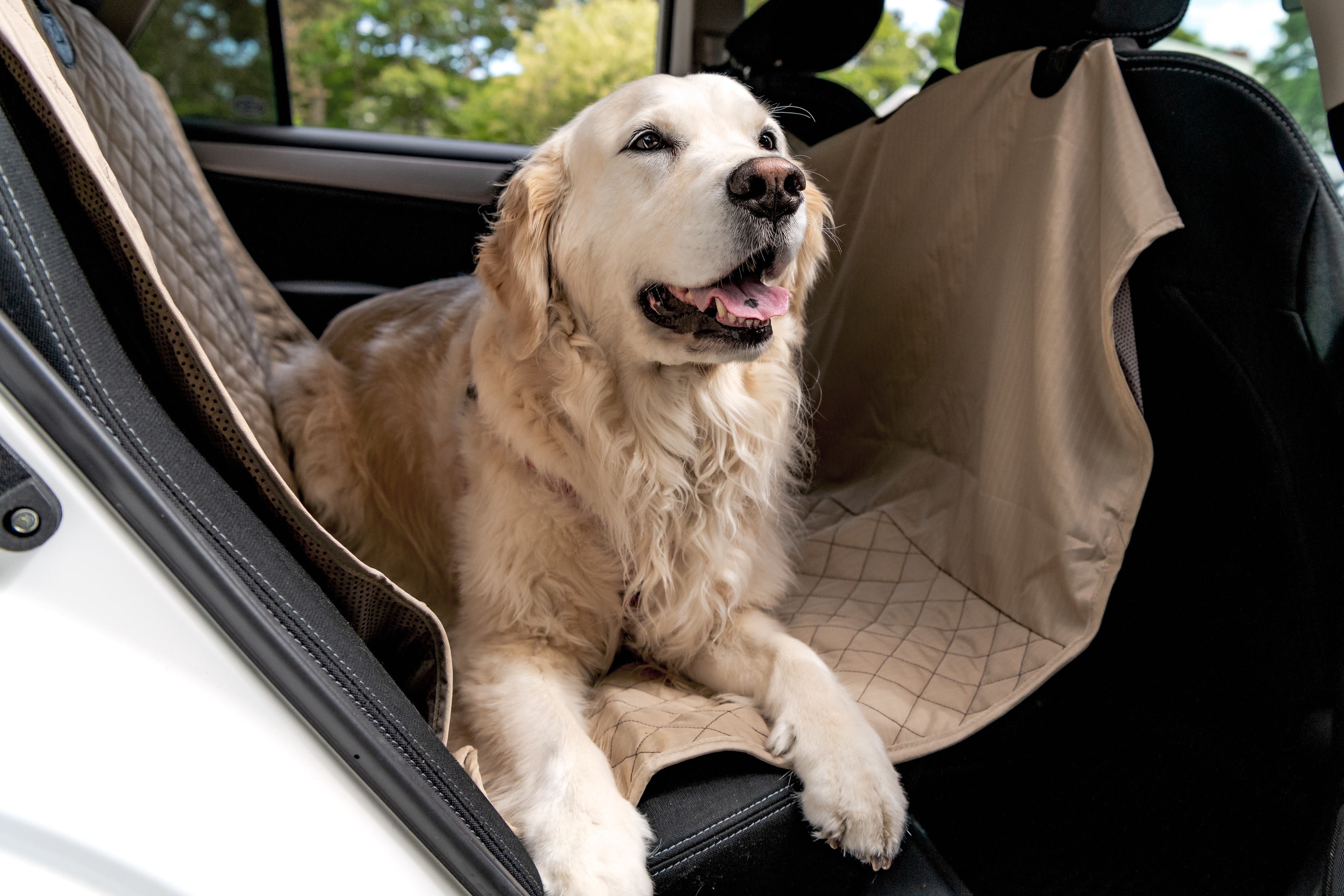 Pet Supply Product | The Finest Market