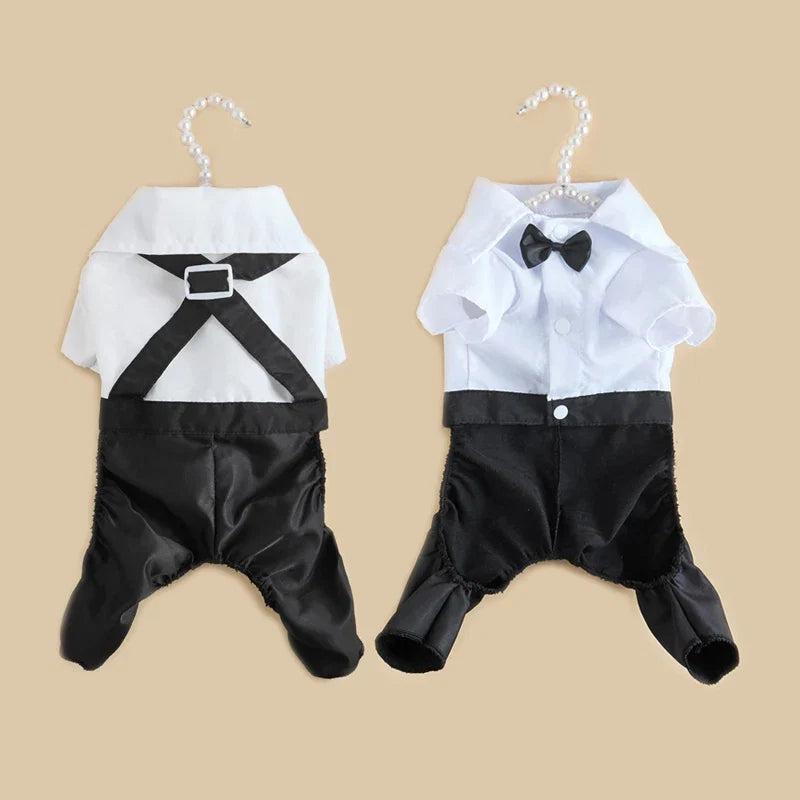 Clothes for Small Dogs Puppy Teddy Poodle Chihuahua Coat Handsome Pets | Majestic Pet Kingdom™