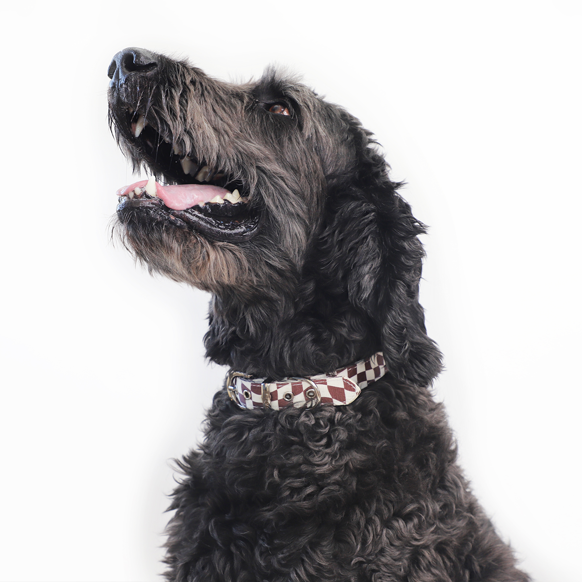 Hershey Ergonomic Walking Harness Premium Design | Majestic Pet Kingdom™