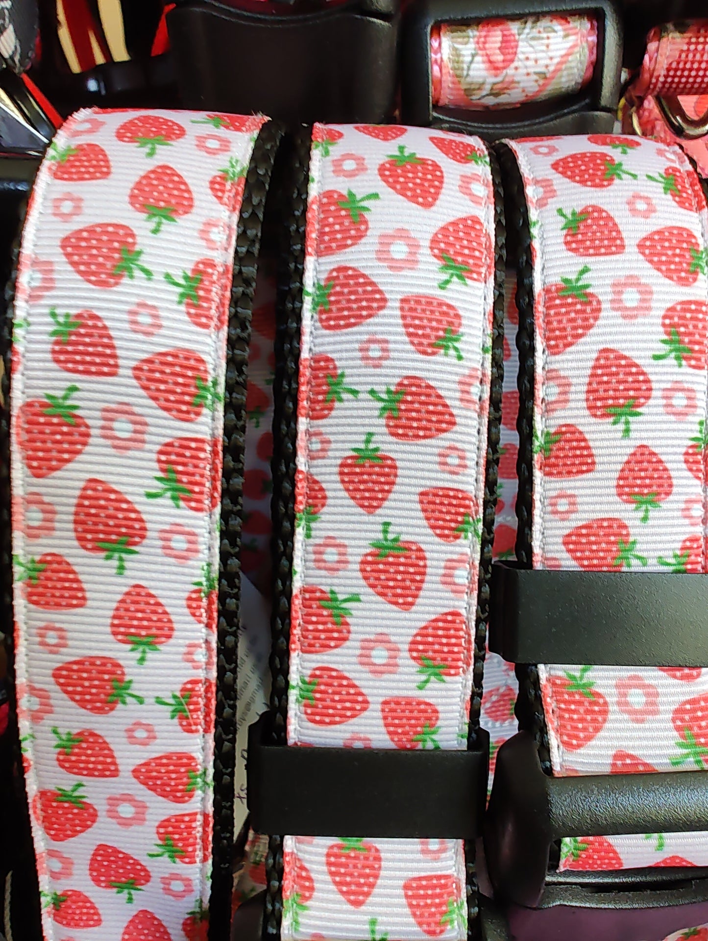 Strawberry Flowers Black Nylon Dog Collar MD, LG, XL, Leash | Purrfect Pet Kingdom