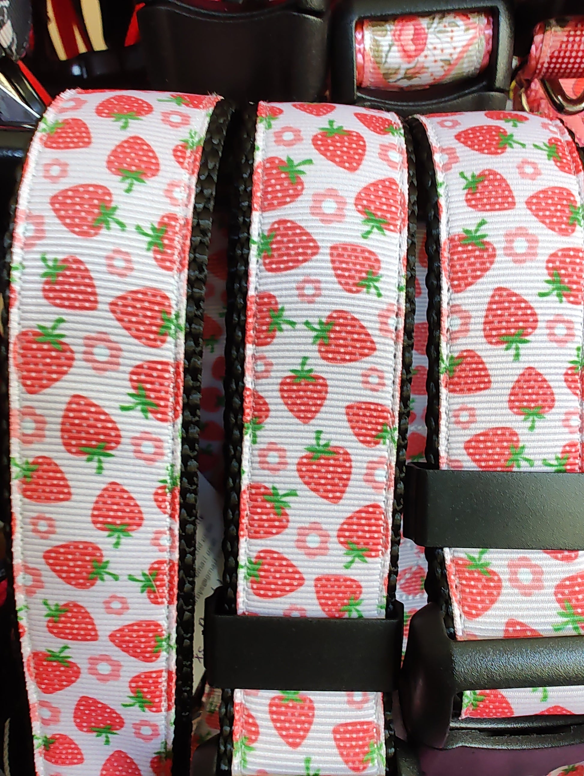 Strawberry Flowers Black Nylon Dog Collar MD, LG, XL, Leash | Purrfect Pet Kingdom