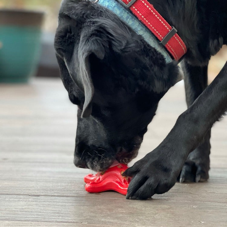 Pet Supply Product | The Finest Market