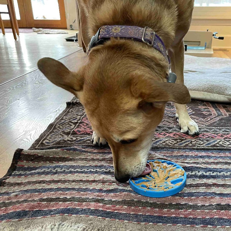 Pet Supply Product | The Finest Market