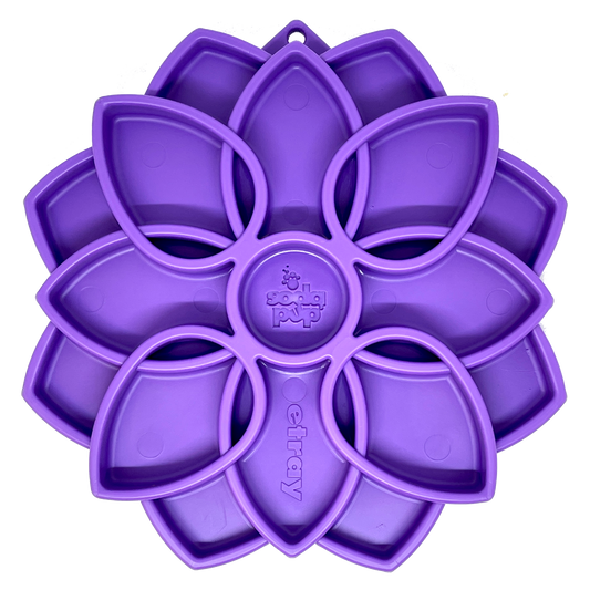 Mandala eTray Shallow Slow Feeder Dog Bowl for Enrichment | - Majestic Pet Kingdom
