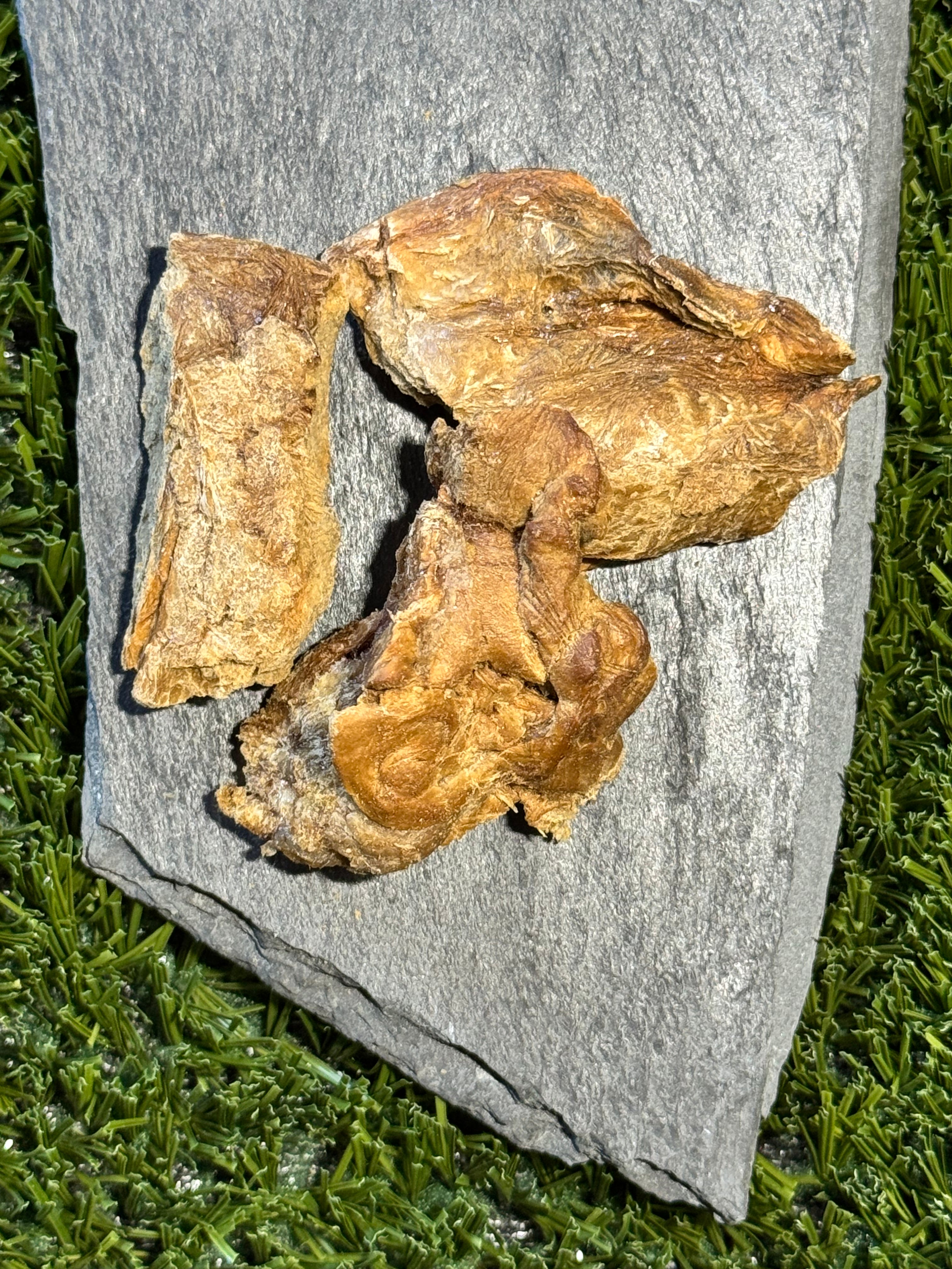 Freeze-Dried Pheasant Liver