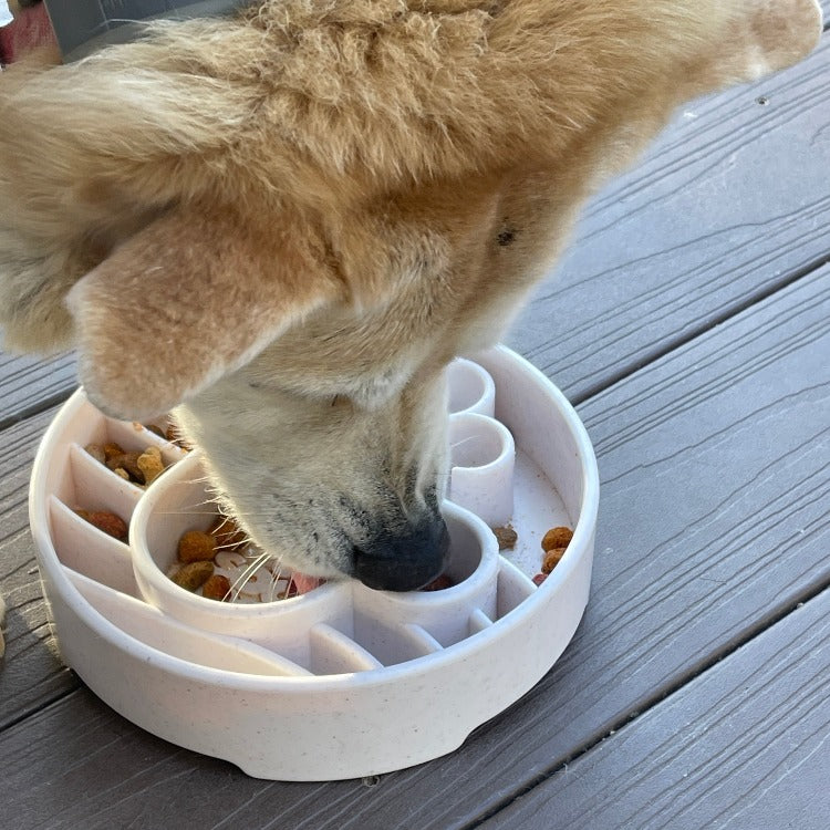 Pet Supply Product | The Finest Market