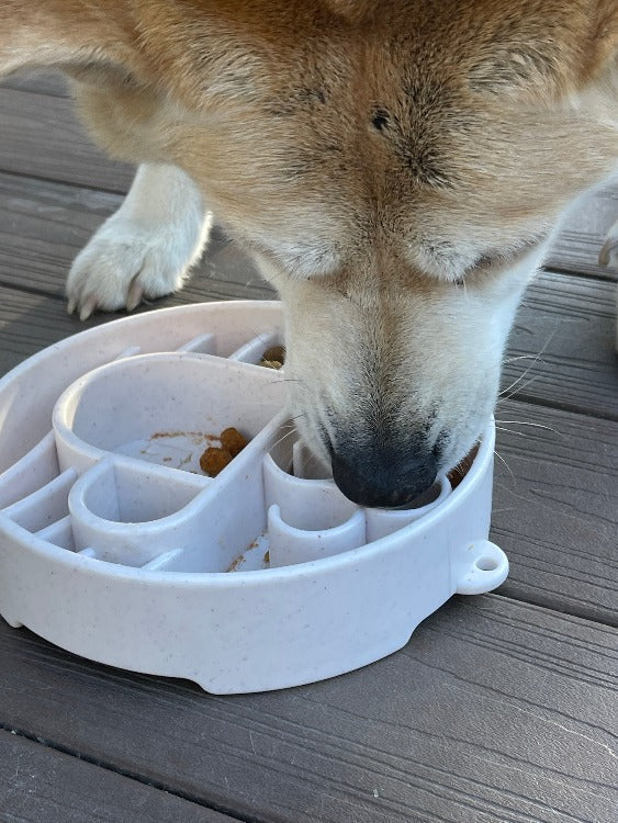 Dog Bowl Java eBowl Deep Slow Feeder Enrichment Eating Dish