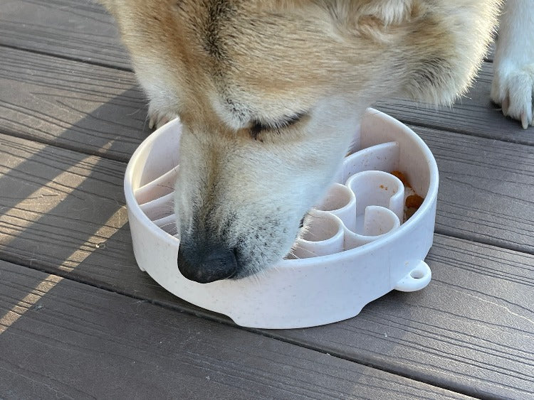 Pet Supply Product | The Finest Market