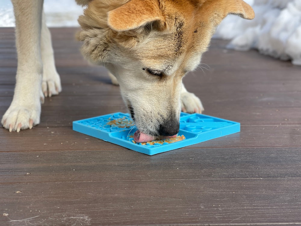 Pet Supply Product | The Finest Market