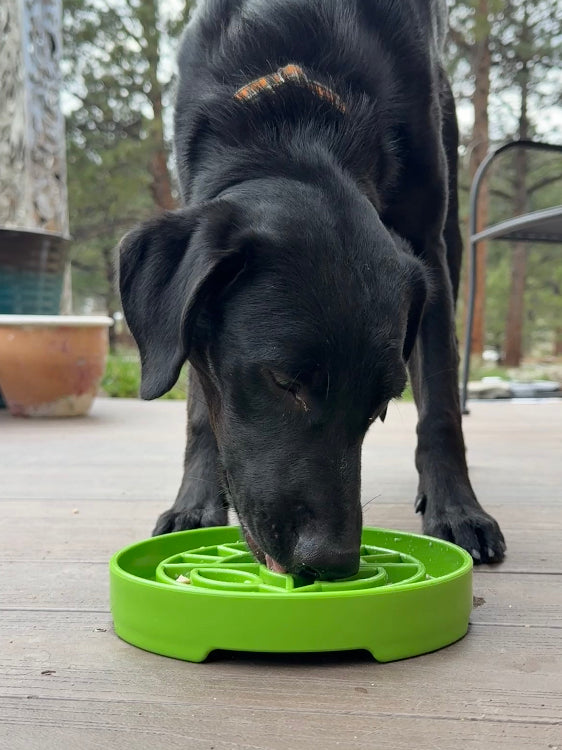 Pet Supply Product | The Finest Market