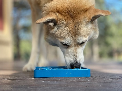 Pet Supply Product | The Finest Market