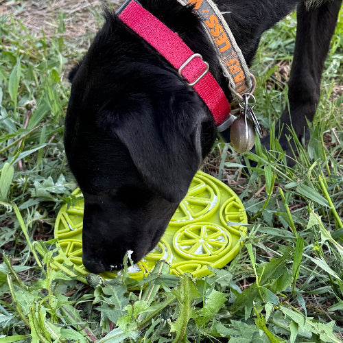 Pet Supply Product | The Finest Market