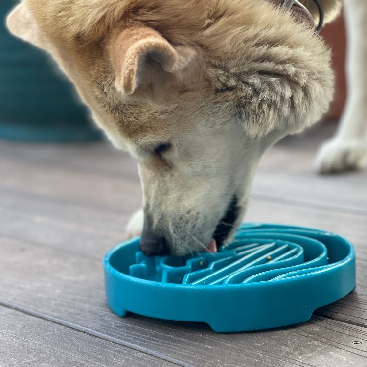 Pet Supply Product | The Finest Market