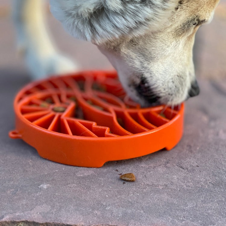 Pet Supply Product | The Finest Market