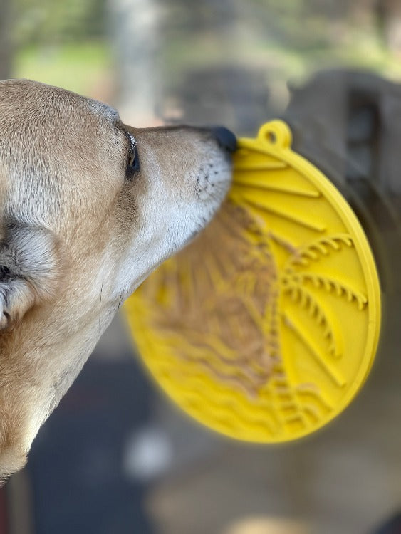Pet Supply Product | The Finest Market