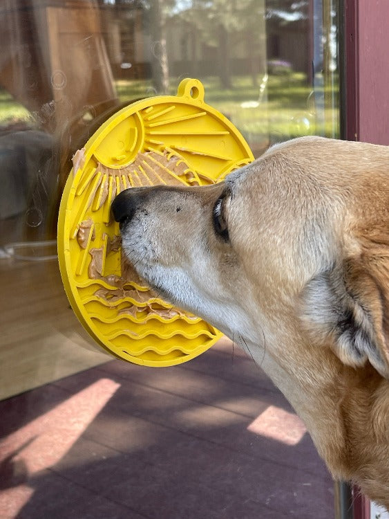 Pet Supply Product | The Finest Market