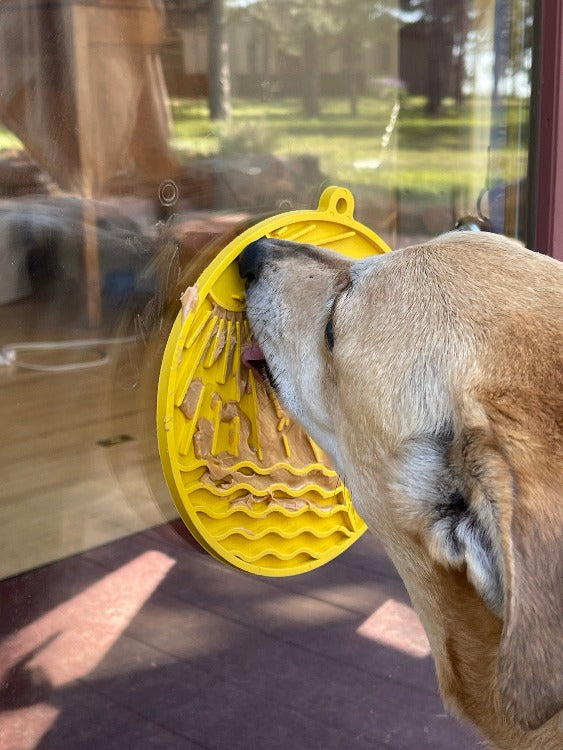 Pet Supply Product | The Finest Market