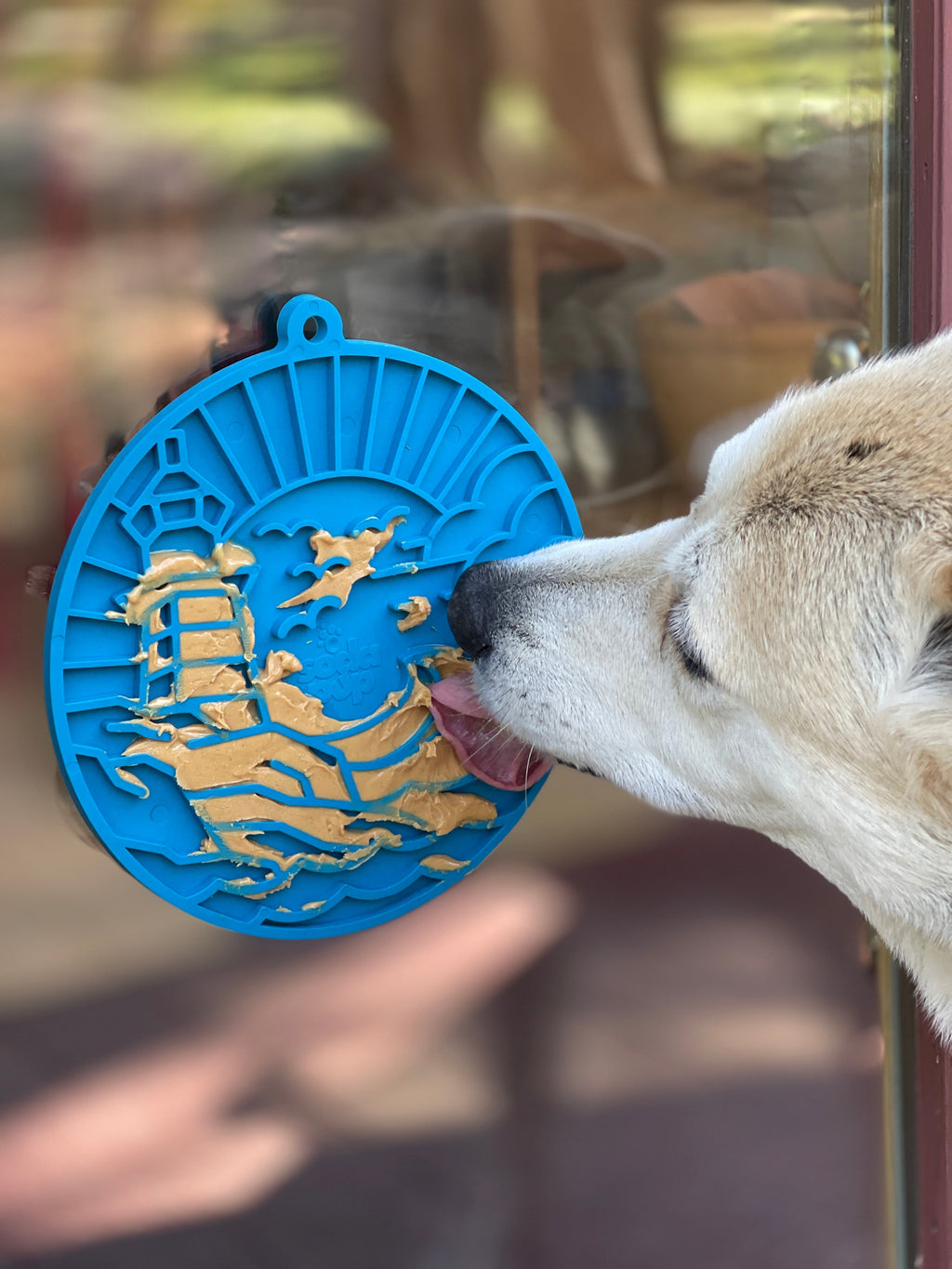 Pet Supply Product | The Finest Market