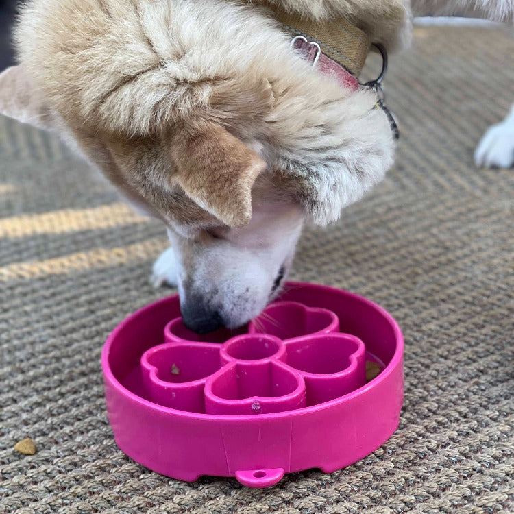 Pet Supply Product | The Finest Market