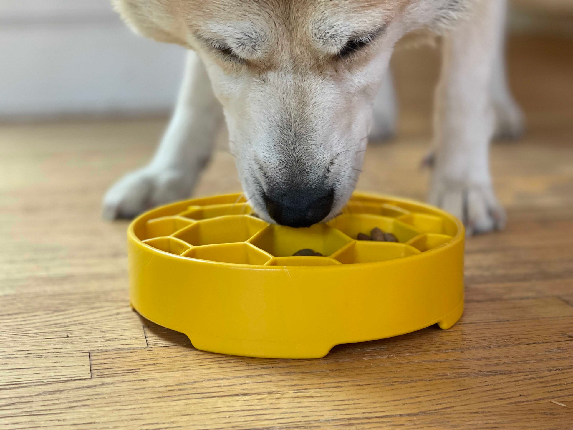 Pet Supply Product | The Finest Market