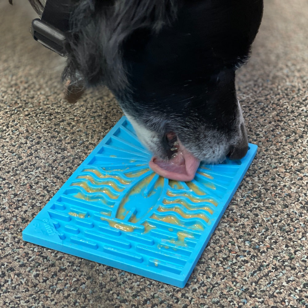 Pet Supply Product | The Finest Market