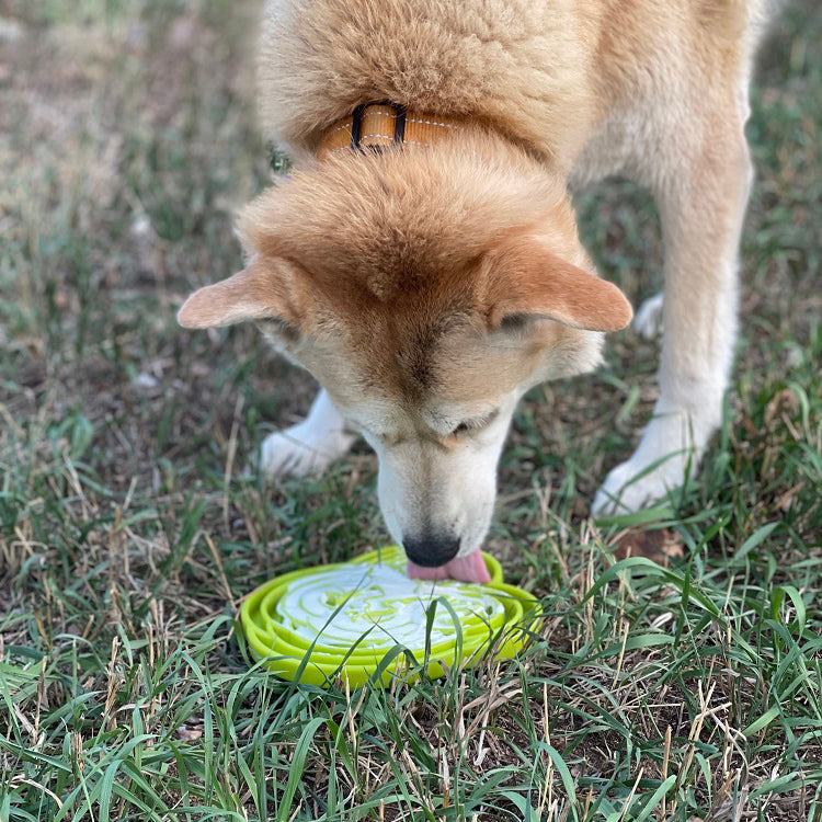 Pet Supply Product | The Finest Market
