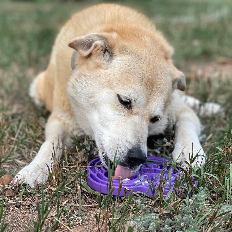 Pet Supply Product | The Finest Market