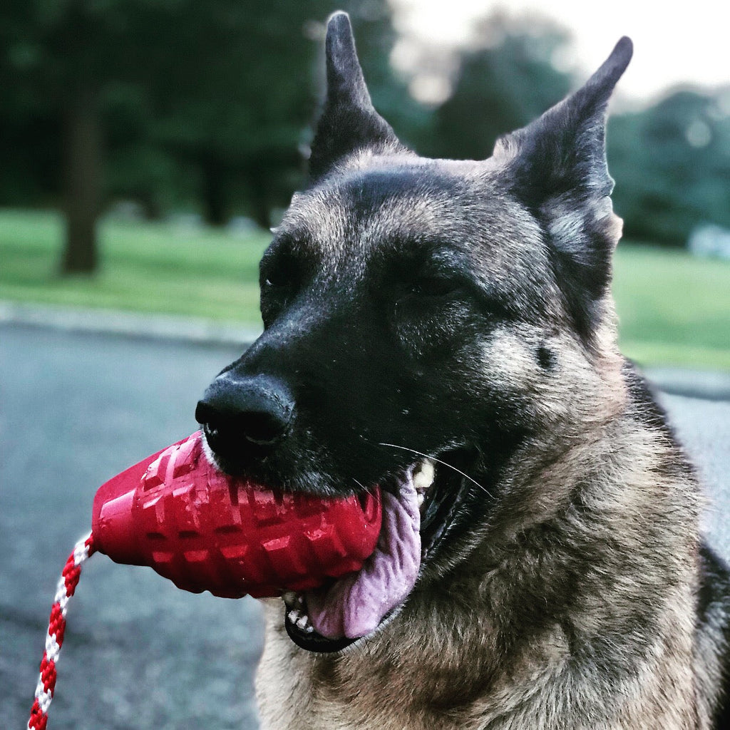 Pet Supply Product | The Finest Market