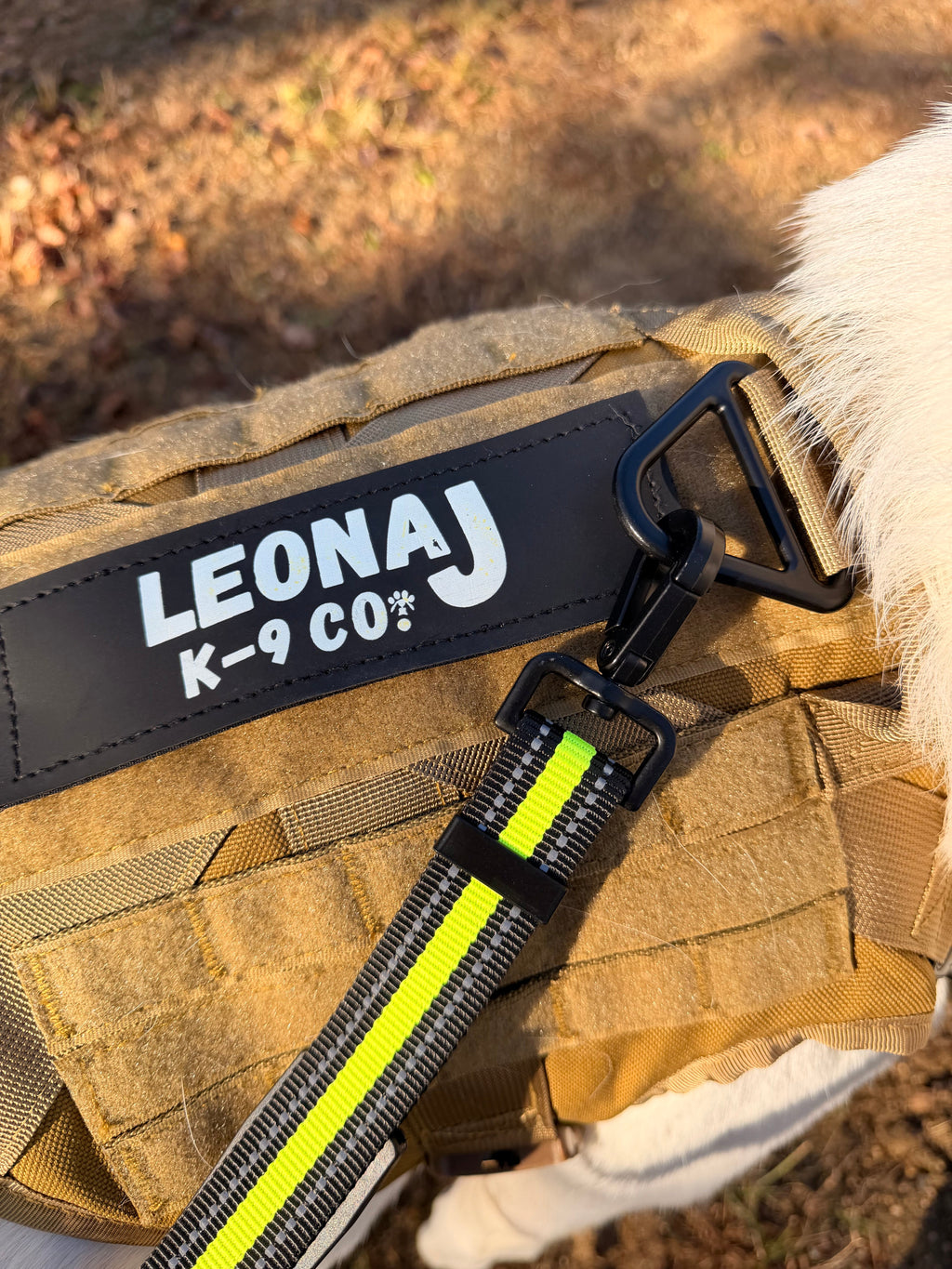 Hands-Free Running/Hiking Bungee Leash