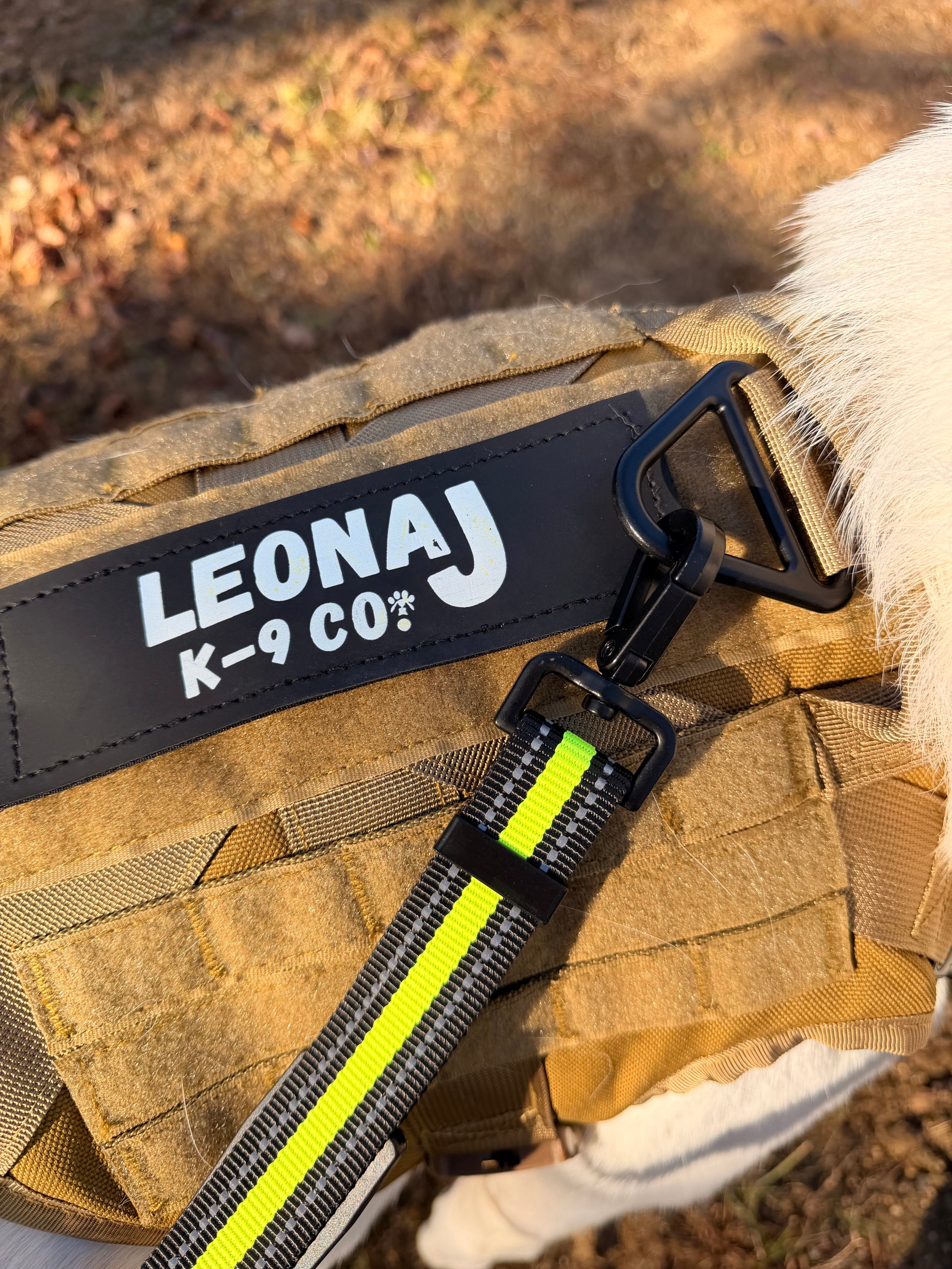 Hands-Free Running/Hiking Bungee Leash