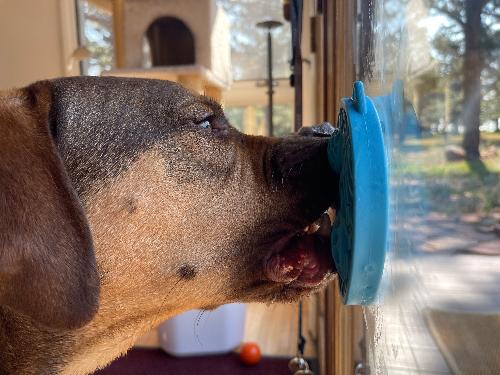 Pet Supply Product | The Finest Market